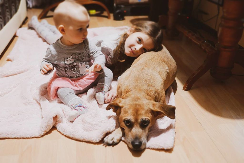 dzieci i pies