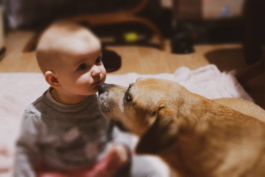 pies i dziecko